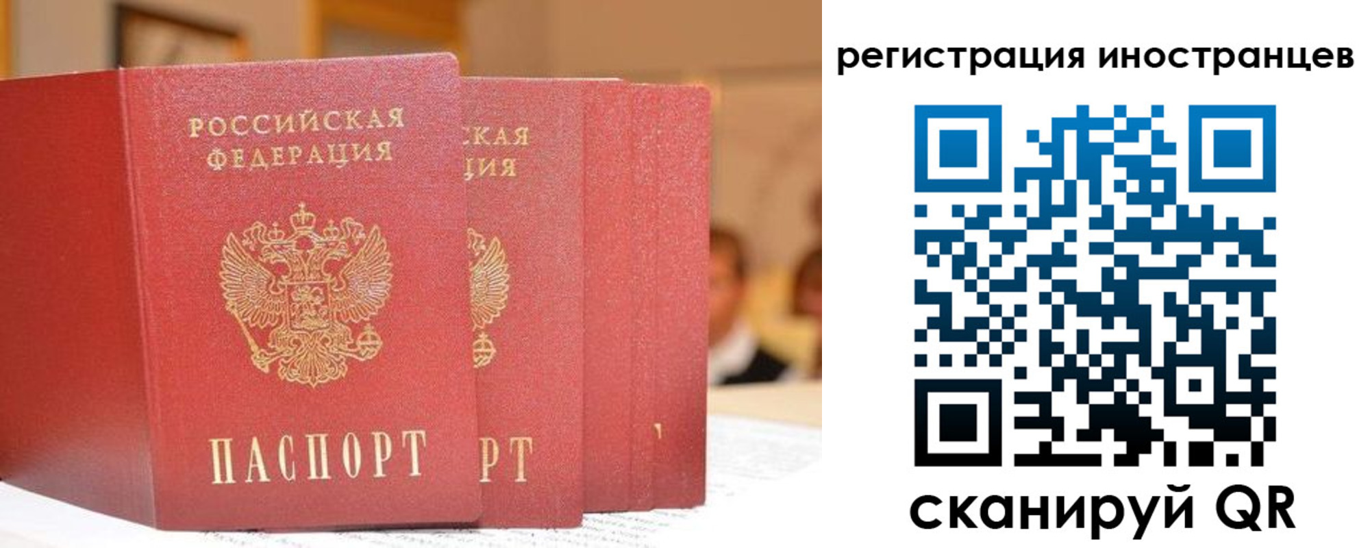 где прописаться в Волоколамске
